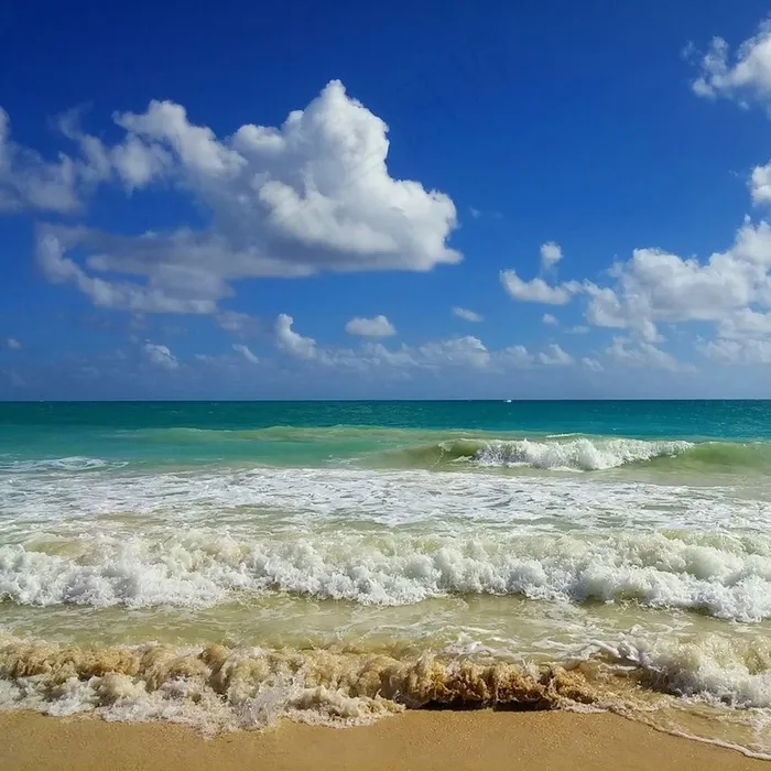 海滩，夏威夷，海洋，海洋，自然，热带，景观