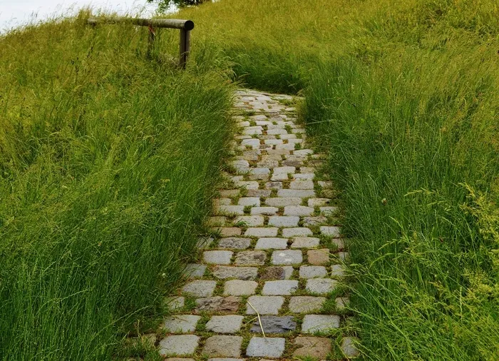 离，草地，性质，路径，铺路石