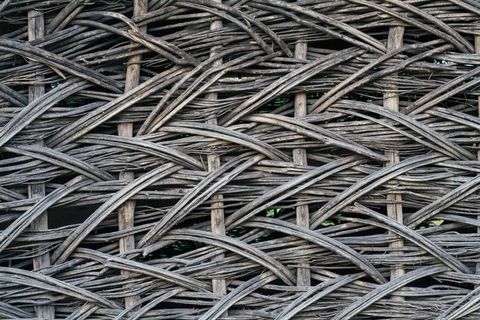 树，编织，夏天，传统，Laža，Loza，围栏