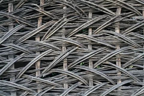 树，编织，夏天，传统，Laža，Loza，围栏