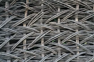 树，编织，夏天，传统，Laža，Loza，围栏