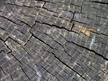 木，粮食，木纹，树，纹理，木材，木材