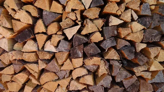 木材,Holzstapel,柴火,成长木本,原木 木材,Holzstapel,柴火,成长木本,原木