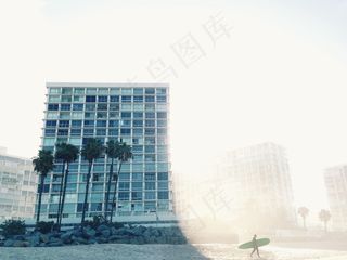 建筑，外立面，棕榈，树木，建筑，外观