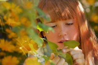 人，人的，女性，女孩，红头，脸，自然
