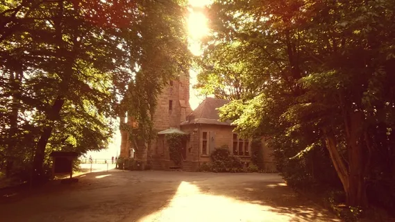 塔，森林，城堡，中世纪，建筑