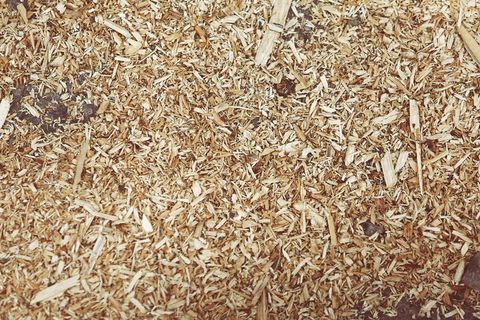 蝇蛆,黄粉虫,砖石材,小茴香,玉米,刨花