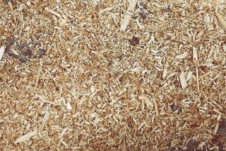 蝇蛆,黄粉虫,砖石材,小茴香,玉米,刨花