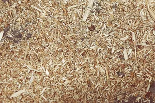 蝇蛆,黄粉虫,砖石材,小茴香,玉米,刨花