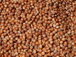 螺母，螺母，榛子，薄壳，棕色，市场，食品，美味