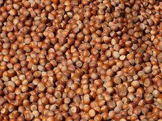 螺母，螺母，榛子，薄壳，棕色，市场，食品，美味