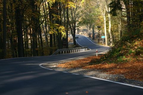 道路，公路，街道，秋季