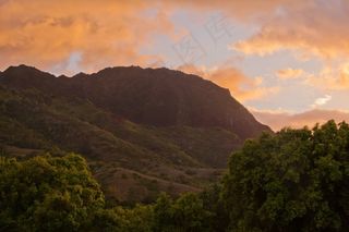 小山，山，日落，晚上，黄昏，暮光之城，森林