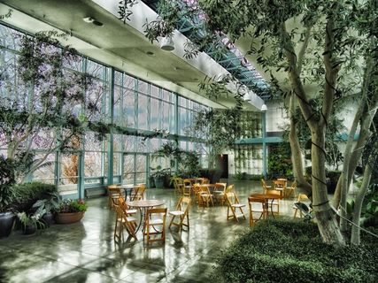 树木园，盐湖城，犹他州，树木，里面