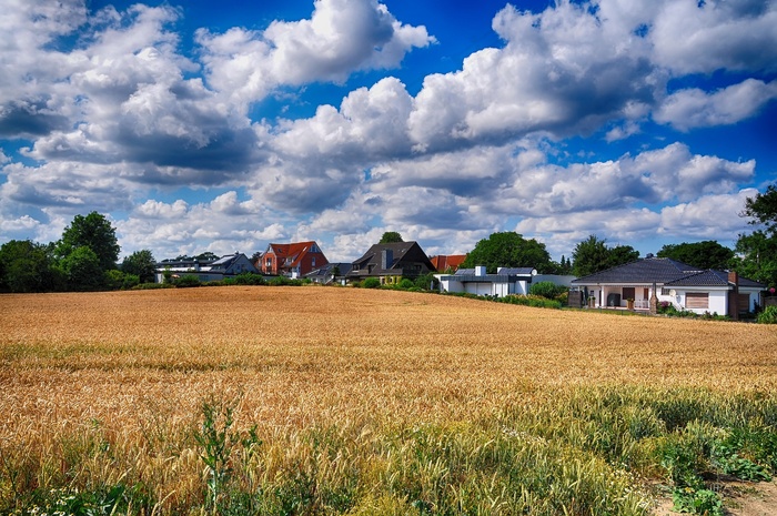 夏天，田野，土地，宽，农村