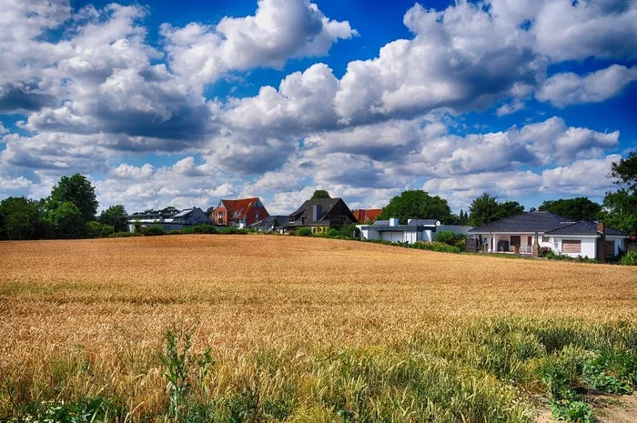 夏天，田野，土地，宽，农村