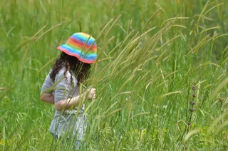 草，女孩，夏天，草甸，孩子，性格开朗，放松