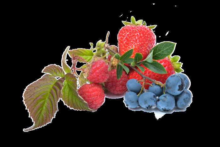 蓝莓，覆盆子，草莓，水果