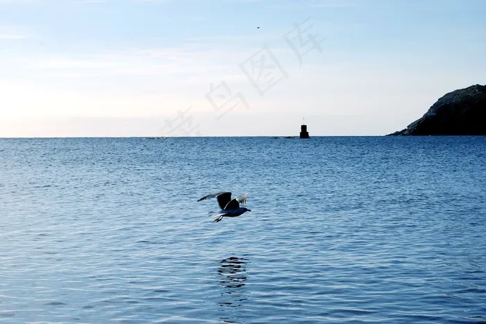 沧海，Cadaqués，天空，蓝色，海鸥，飞，灯塔
