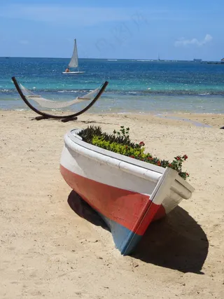 假期，海滩，夏天，毛里求斯，吊床