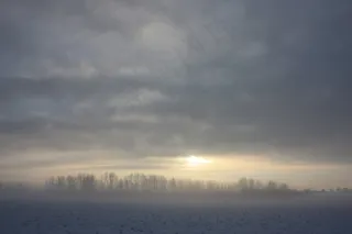 冬天，雪，性质，雪背景，冬季景观