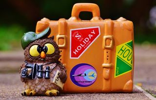 猫头鹰，游客，地图，双筒望远镜，相机，旅行，度假