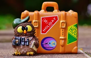 猫头鹰，游客，地图，双筒望远镜，相机，旅行，度假