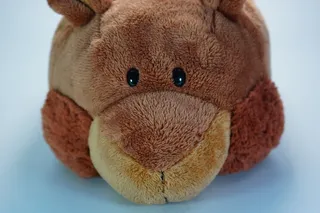 拖鞋，轻松，出色，温暖，蓬松