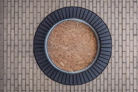 圆形，圆形，路面，地板，地面，瓷砖，砖头