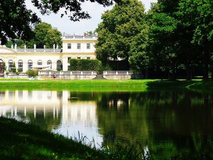 橘园，水，绿色，放松，树木，景观