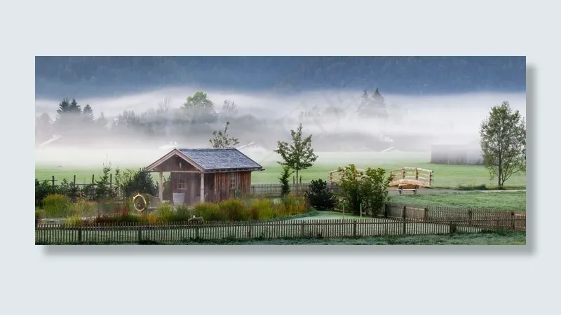 秋天的心情，景观，雾，秋天，心情，早晨