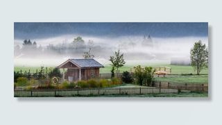 秋天的心情，景观，雾，秋天，心情，早晨