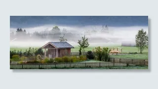 秋天的心情，景观，雾，秋天，心情，早晨