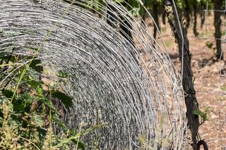 丝网，篱笆，金属，极限，角色，葡萄酒，葡萄种植