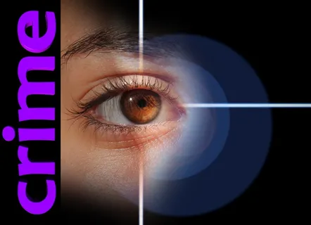 暗杀企图，犯罪现场，十字准线，遮阳板