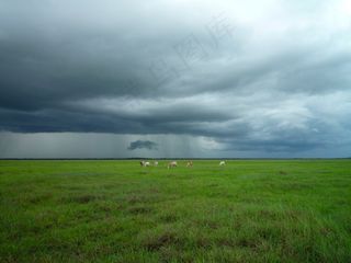 草原,天空,显示器屏幕,电视屏幕,台式电脑,云多云领域农业