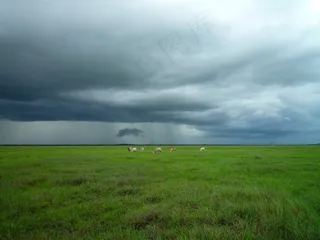 草原,天空,显示器屏幕,电视屏幕,台式电脑,云多云领域农业