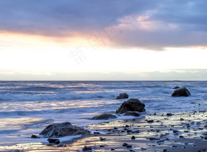 海洋,湖泊,露脊鲸,灰鲸,蓝鲸,海滩沙滩海洋岩石