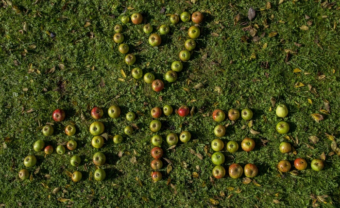 苹果，心，水果，健康，字母，单词，匆忙