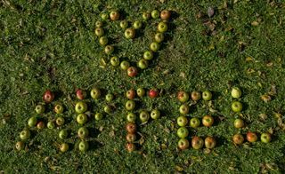 苹果，心，水果，健康，字母，单词，匆忙