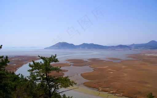 顺天湾，芦苇，拉姆萨尔湿地，顺天，旅行