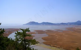 顺天湾，芦苇，拉姆萨尔湿地，顺天，旅行