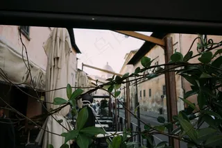 盆栽植物,天台花园,窗,自然公园,建筑,绿叶和街边咖啡馆的景色