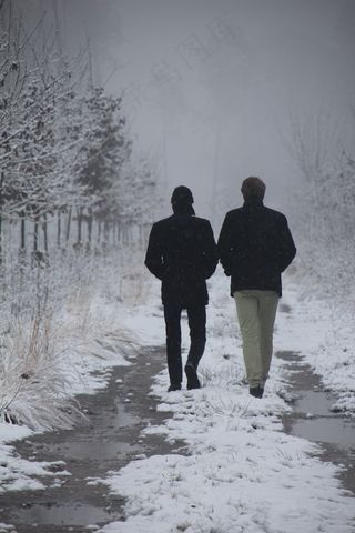 步行，性质，雪，森林，徒步旅行，路径，人行道