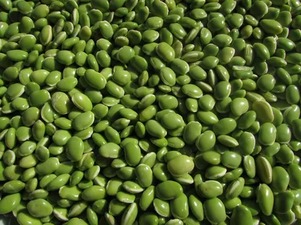 豆类,豆科植物,豆类,豆类,豌豆,绿色 豆类,豆科植物,豆类,豆类,豌豆,绿色