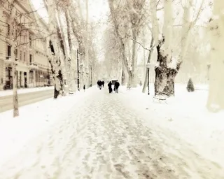 365/365：普莱西德