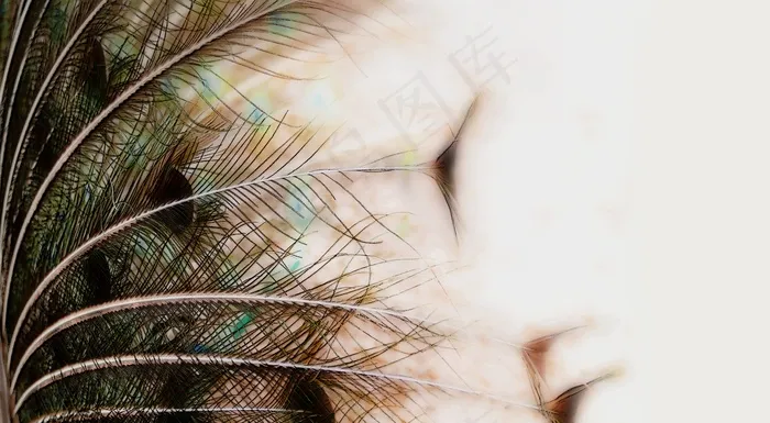 鸵鸟羽毛，鸟，动物，关闭，自然，羽毛