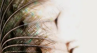 鸵鸟羽毛，鸟，动物，关闭，自然，羽毛