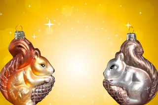 圣诞节，松鼠，圣诞装饰品，明星