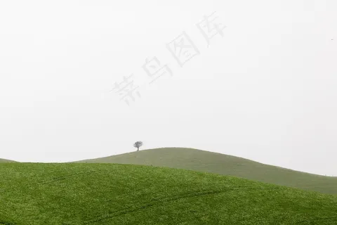 山，草，树，天空，绿色，景观，自然